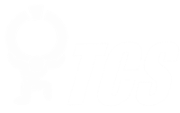 Titan Computer Services Logo